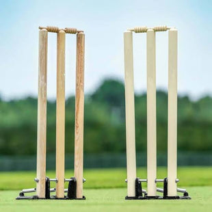 Wicket With Stand